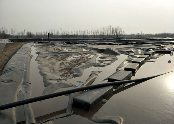 ������(ch��ng)�B�VҺ�ط��BĤ